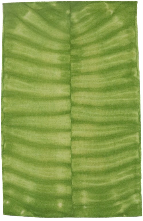Green Tie-Dye 5X8 Hand-Tufted Modern Rug